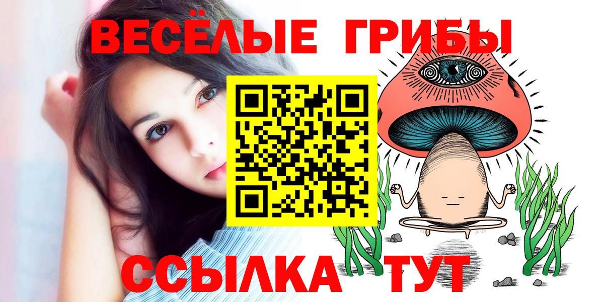 магазин  наркотиков  Галлюциногенные грибы мухоморы  Галлюциногенные грибы Psilocybe  Вход с VPN  Балахна 